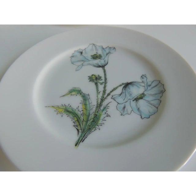 Contemporary Hand Painted Floral Dessert Round Plates - Set of 6 For Sale - Image 4 of 6