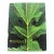 Mustique Hard Cover Book With Dust Jacket Roger Vaughan 1994 For Sale