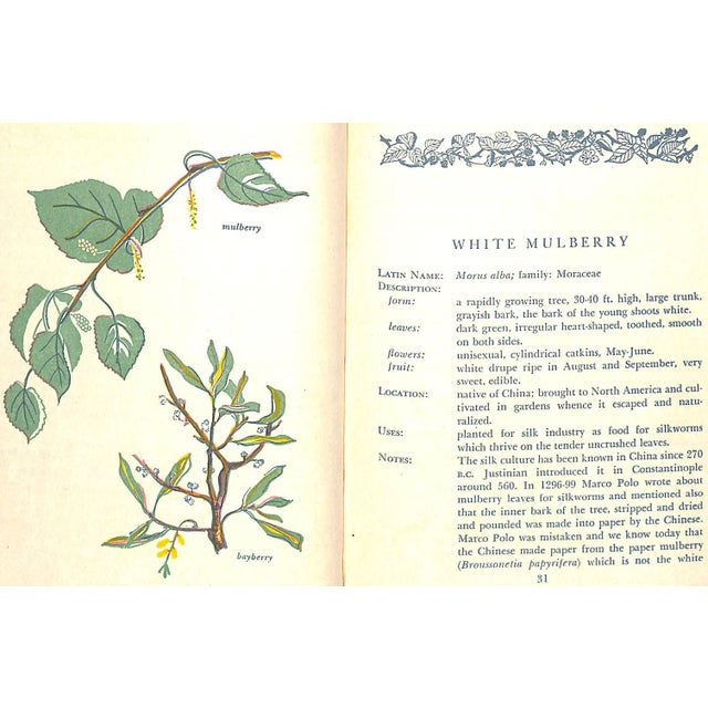 White "Savor & Flavor: Berries in Fact and Fancy" 1944 Maril, Lee For Sale - Image 8 of 11