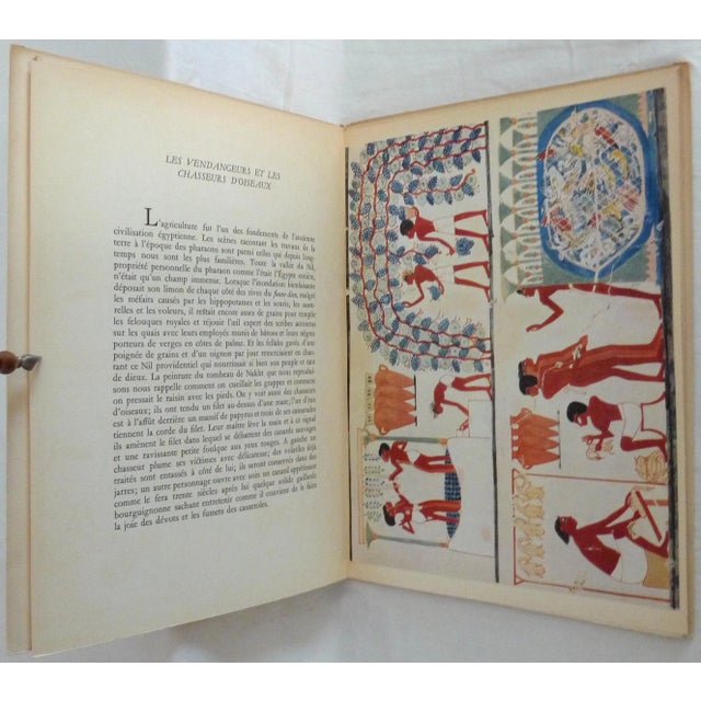 Antique White 1950s Decorative and Illustrated Book, Nina Davies Et Al.'s Art Et Archeologie - La Peinture Egyptienne Ancienne, Cinquieme Album For Sale - Image 8 of 13