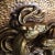 Bronze Wild Spanish Horses Wall Medallion Gold Over Plaster For Sale - Image 8 of 13