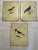 Set of 3 Tin Wall Plaques Decorated With Edward’s Birds Transferred, 1930s For Sale - Image 13 of 13