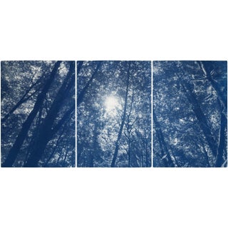 "Looking Up at the Trees" Contemporary Handmade Cyanotype Print by Kind of Cyan - Set of 3 For Sale