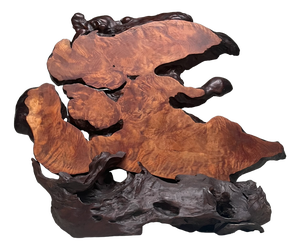 Japanese Burl Wood Decoration