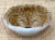 Italian Vintage Italian Lion Catchall For Sale - Image 3 of 5
