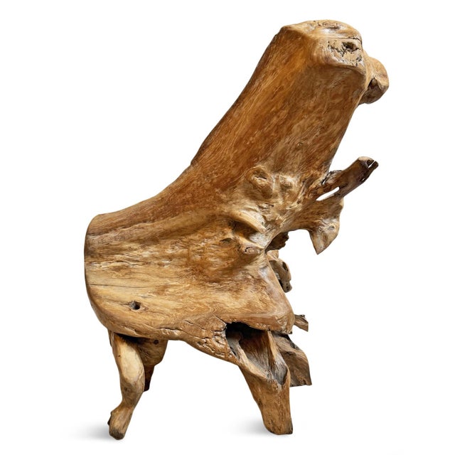 Early 21st Century Organic Modern Vintage Freeform Teak Root Chair For Sale - Image 5 of 6