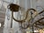 Mid 20th Century Brazilian Rock Crystal Chandelier, Mid 20th Century For Sale - Image 5 of 12