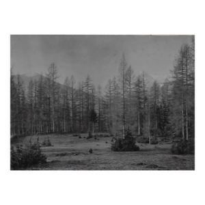 1890s European Landscape Photograph