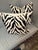 Black Woven Zebra Print Pillow Solid Reverse Side For Sale - Image 8 of 8