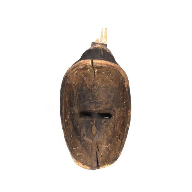 African Early 20th Century Yaure Baule Portrait Mask Côte d'Ivoire For Sale - Image 3 of 7