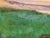 Damián Segarra Codina, Landscape, 20th Century, Oil on Canvas, Framed For Sale - Image 6 of 18