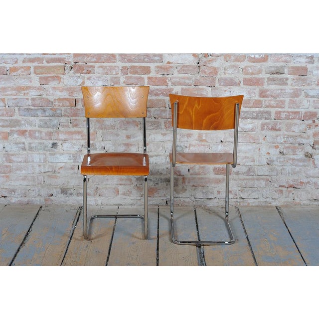 Brown Bauhaus Chairs in Beech and Chromed Steel, Czech, 1930s, Set of 2 For Sale - Image 8 of 11