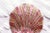 A lovely rhinestone and celluloid comb in the shape of a seashell. Pink and Amber in color. Antique in the Art Deco style...