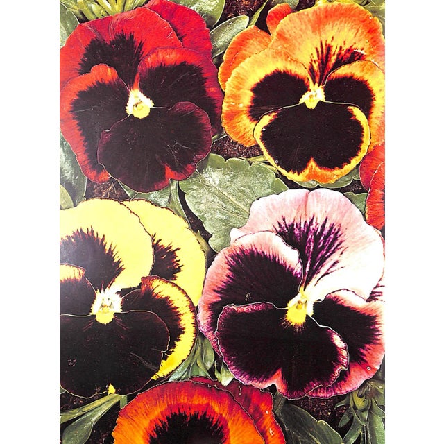 "Flowers in History" 1970 Coats, Peter For Sale - Image 11 of 12