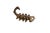Metal Vintage African Dark Bronze Scorpion For Sale - Image 7 of 7