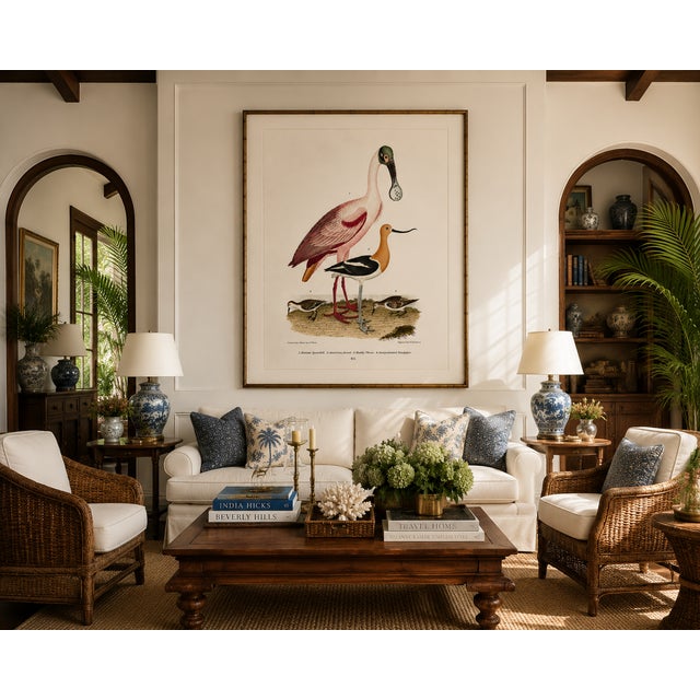 Paper Roseate Spoonbill & Shorebirds, Vintage Natural History Art Print Reproduction, 20" X 30" For Sale - Image 7 of 12