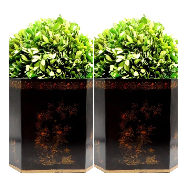 Large Italian Regency Style Toleware Jardinieres With Preserved Boxwood, a Pair For Sale