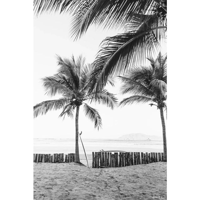 "Magic Sticks" - Limited Edition Fine Art Photo - Horizontal 24"x36" - Black and White Photo Costa Rica Beach Palm Trees Surfboard by Kristen M Brown For Sale