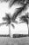 "Magic Sticks" - Limited Edition Fine Art Photo - Horizontal 24"x36" - Black and White Photo Costa Rica Beach Palm Trees Surfboard by Kristen M Brown For Sale
