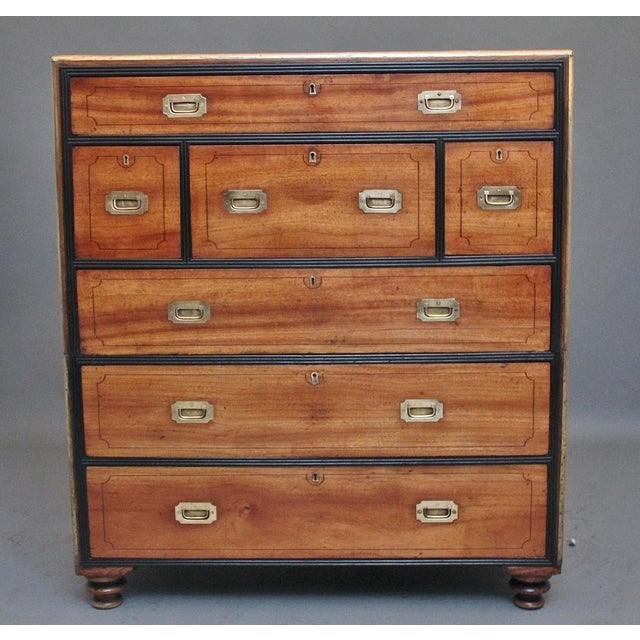 Antique Camphor Wood Secretaire Military Chest, 1840 For Sale - Image 13 of 14