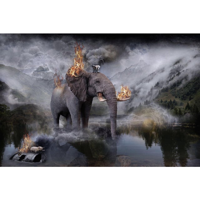 Amazonia by Marcin Owczarek | Photography - Dye Sublimation on Aluminum of an elephant in a surreal landscape For Sale