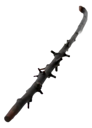 Antique Adirondack Walking Stick