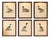 Antique Merganser Duck Lithographs, Sweden, 1929, Set of 6 For Sale