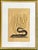 Mark Catesby Engraving, "Black Murrey" Moray Eel, Framed For Sale - Image 9 of 9