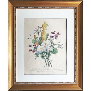 Antique French Floral Botanical Hand Colored Etching For Sale