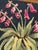 Mid-Century French Aubusson Tapestry Mille Fleurs, 1920s For Sale - Image 18 of 18