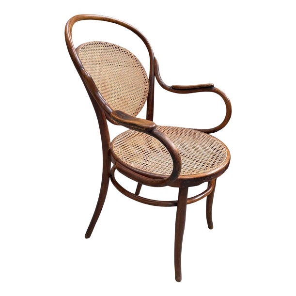 Bentwood and Beech Armchair from DLG Thonet For Sale