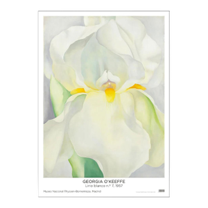 Georgia O'Keeffe White Lily No. 7 Poster