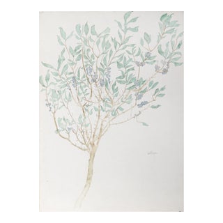 Olive Tree, Carl Bergman For Sale