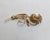 Napier Vintage 1950s Signed Napier Goldtone Faux-Pearl Flower Brooch For Sale - Image 4 of 9