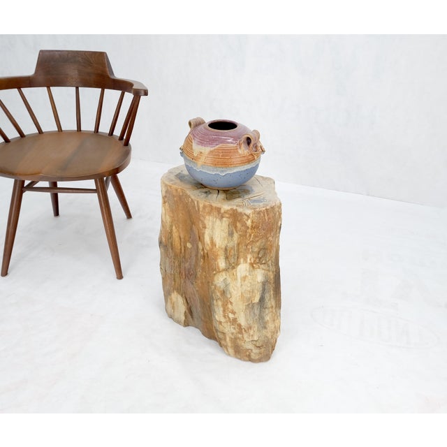 Petrified Wood Organic Shape Multicolor Beige to Black Stand End Table Pedestal For Sale - Image 9 of 10