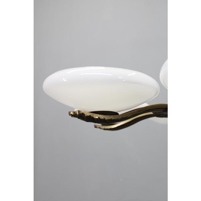 Metal Art Deco Brass Chandelier with 6 Glass Shades, Former Czechoslovakia, 1930s For Sale - Image 7 of 16