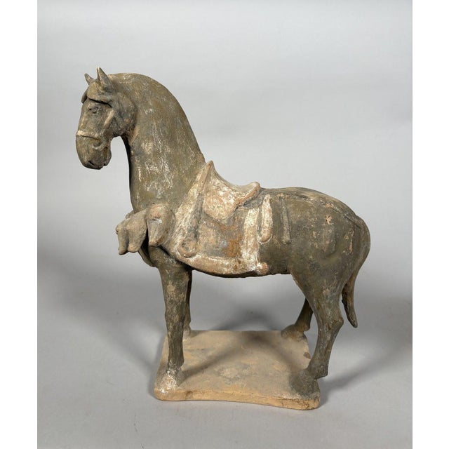 Sculpture of a Mingqi horse, China, Tang Dynasty (618-907). Terracotta sculpture painted with a white, gray, and red slip....