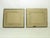 Pair of Antique English Framed Moth Paintings For Sale - Image 16 of 18