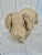 20th Century Vintage Concrete Garden Pig Statue For Sale - Image 4 of 12