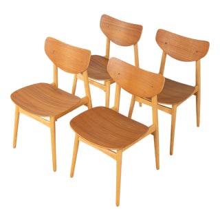 Vintage Plywood Chairs, 1950s, Set of 4 For Sale