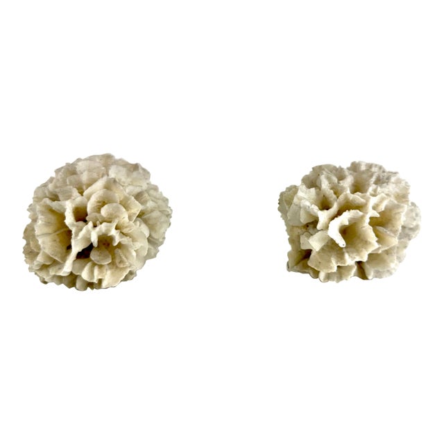Vintage Mid Century Lucite Bookends With Natural Coral Specimens, Coastal Modern Sculptural Pair For Sale