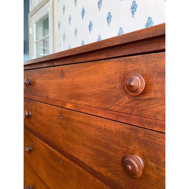 Antique Early 1800s Southern Neoclassical Walnut Chests of Drawers, Likely From Central Virginia For Sale - Image 12 of 15