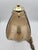 Vintage Star Light Brass Petal Table Lamp with Tinted Glass Shades, 1970s For Sale - Image 6 of 9