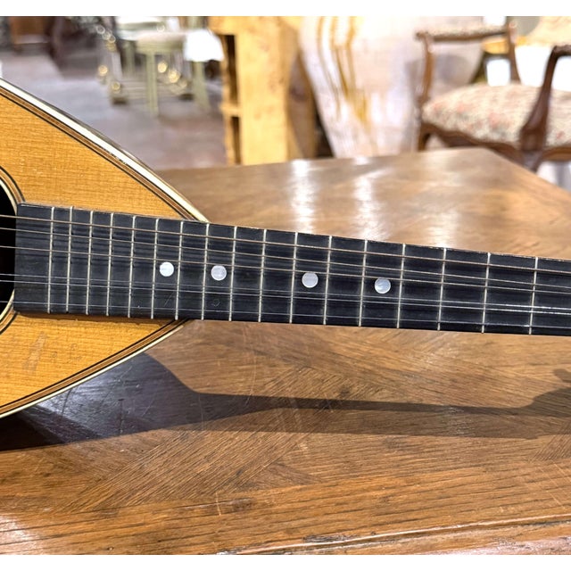 Early 20th Century French Spruce and Rosewood Eight-String Bowl-Back ...