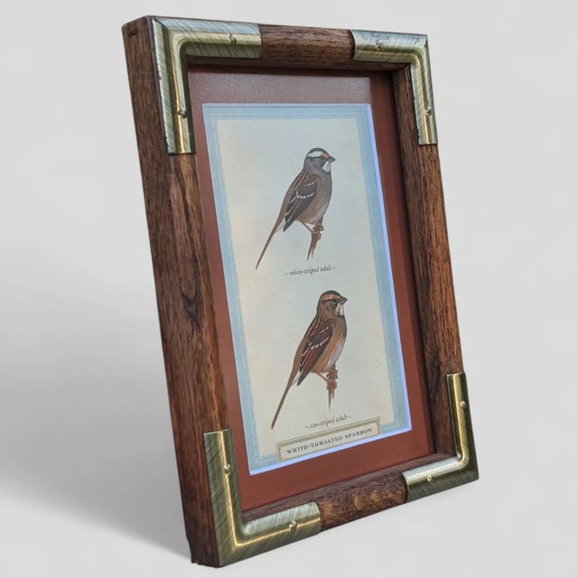 John James Audubon Audubon Style Sparrow Bird Postcard in a Wood and Brushed Brass Campaign Frame For Sale - Image 4 of 9