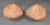Handcrafted Burl Wood Animal Figurines, a Pair For Sale - Image 9 of 11