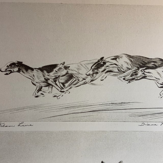 Shabby Chic 1930 Greyhounds and Shepards Dog Print For Sale - Image 3 of 4