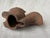 Vintage Rusty Cast Iron Squirrel Eating an Acorn Statue For Sale - Image 12 of 12