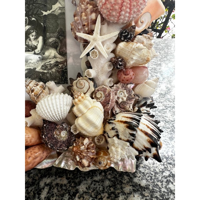 CSS Seashell Photo Frame For Sale In West Palm - Image 6 of 8