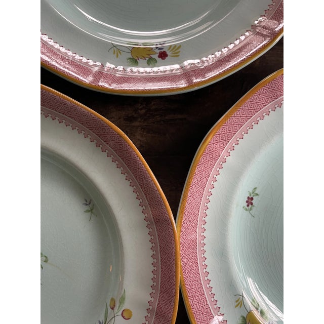 Early 20th Century Antique English Ironstone by Adam’s Calyxware Dinner Plates - Set of 8 For Sale - Image 5 of 12